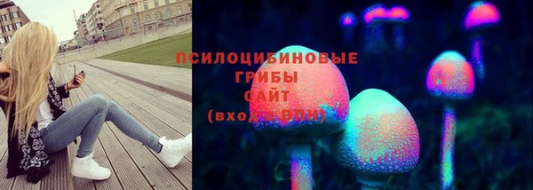 прущие крисы Богданович