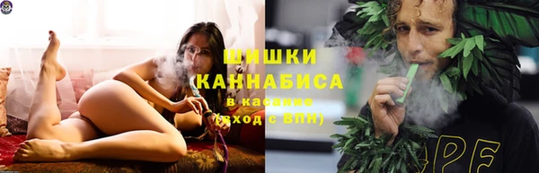 дживик Богородицк