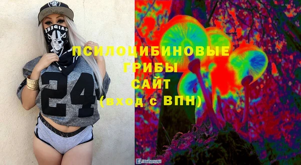 дживик Богородицк