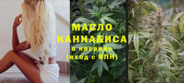 дживик Богородицк