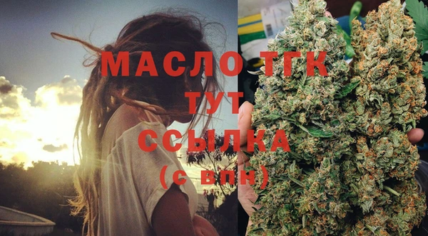 дживик Богородицк