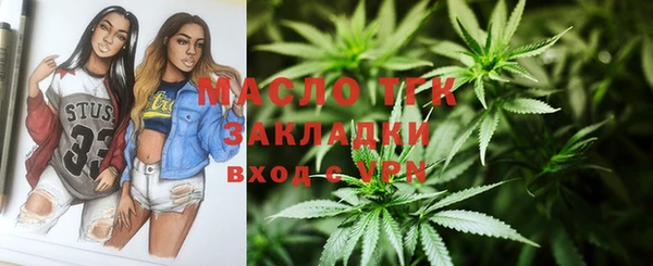дживик Богородицк